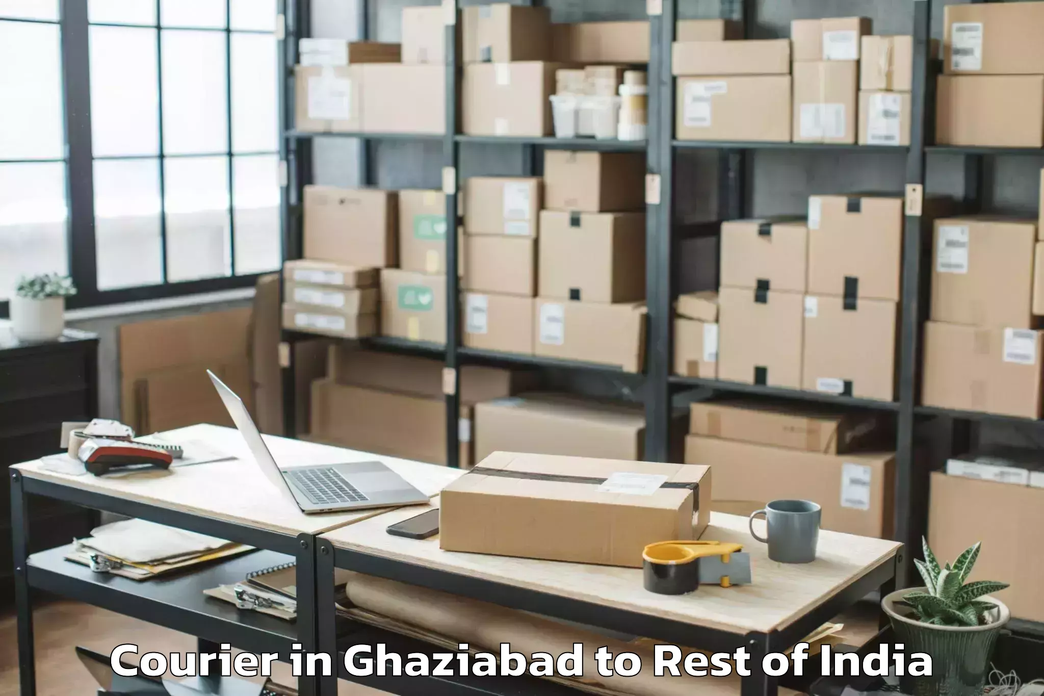 Hassle-Free Ghaziabad to Burgampadu Courier